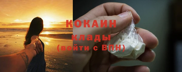 шишки Володарск