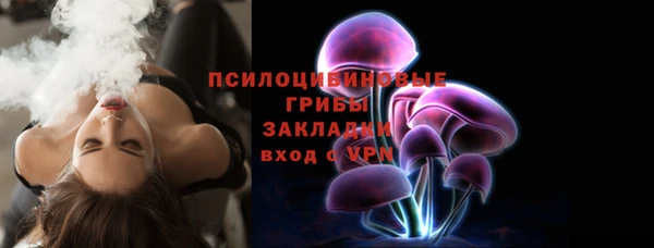 ГАЛЛЮЦИНОГЕННЫЕ ГРИБЫ Волоколамск