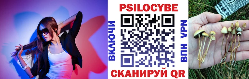 Купить где  Поворино  Псилоцибиновые грибы мухоморы 